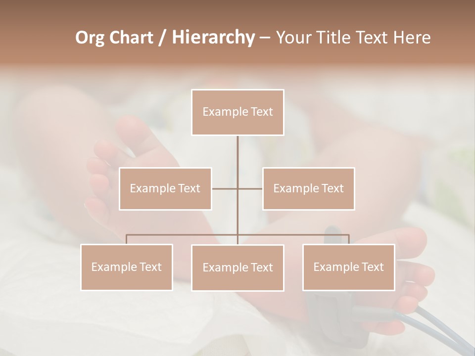 Health Care Electronic Birth PowerPoint Template