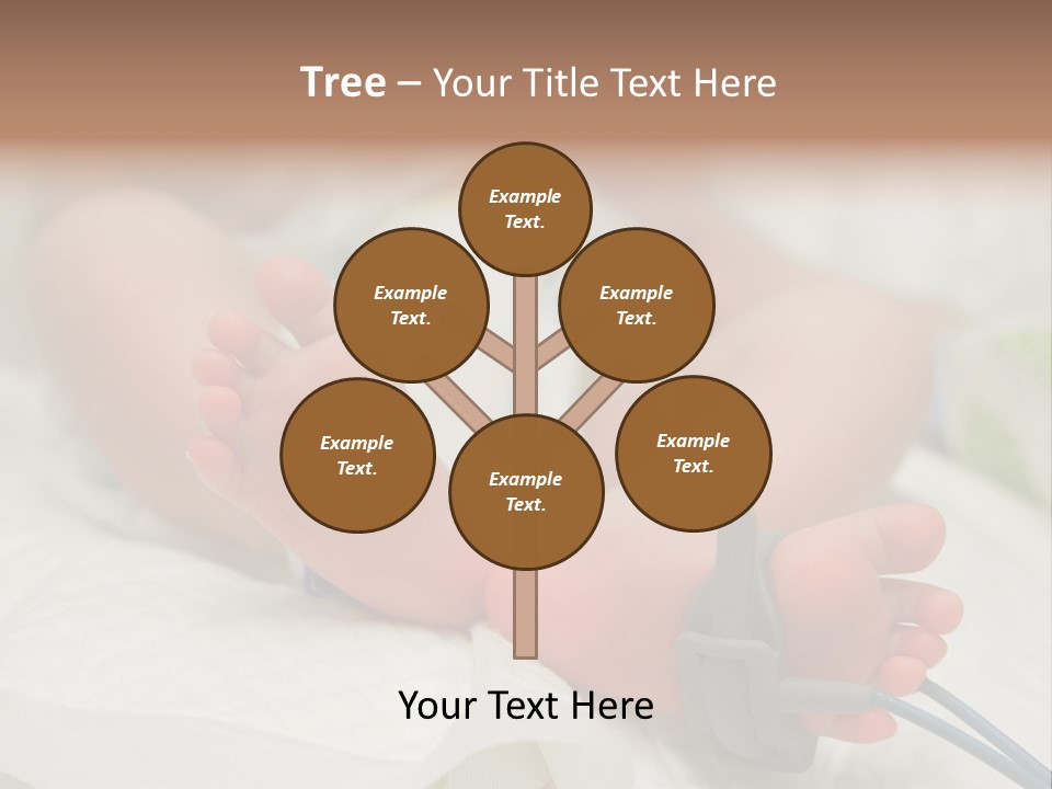 Health Care Electronic Birth PowerPoint Template