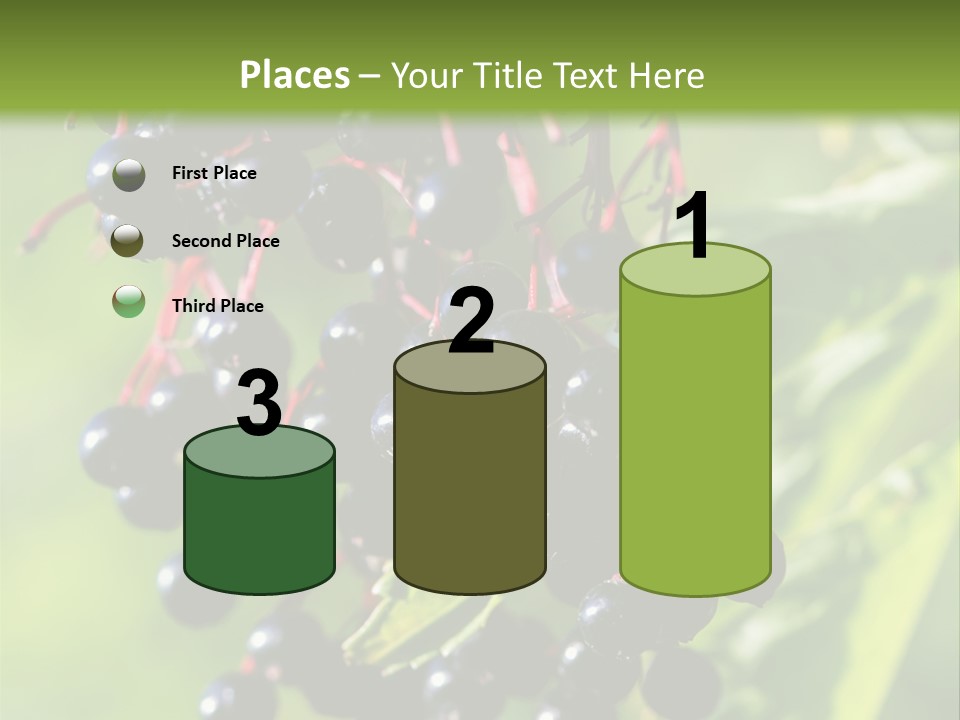 Berry Fruit Elderberry Black PowerPoint Template