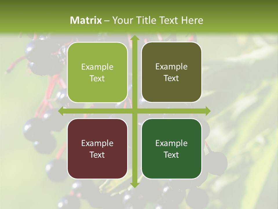 Berry Fruit Elderberry Black PowerPoint Template