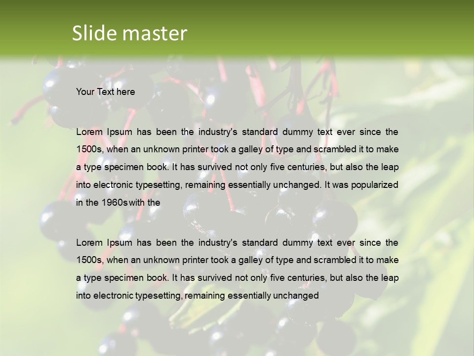 Berry Fruit Elderberry Black PowerPoint Template