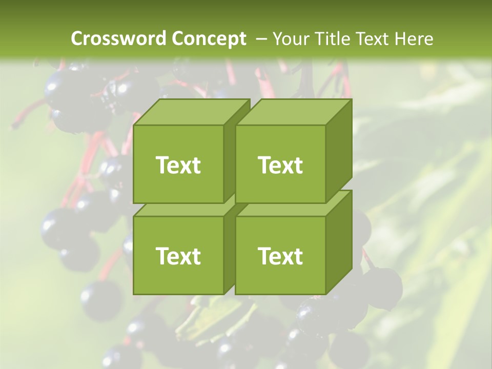 Berry Fruit Elderberry Black PowerPoint Template