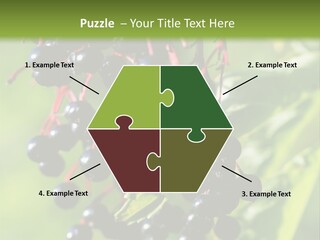 Berry Fruit Elderberry Black PowerPoint Template