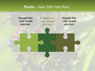 Berry Fruit Elderberry Black PowerPoint Template