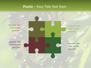 Berry Fruit Elderberry Black PowerPoint Template