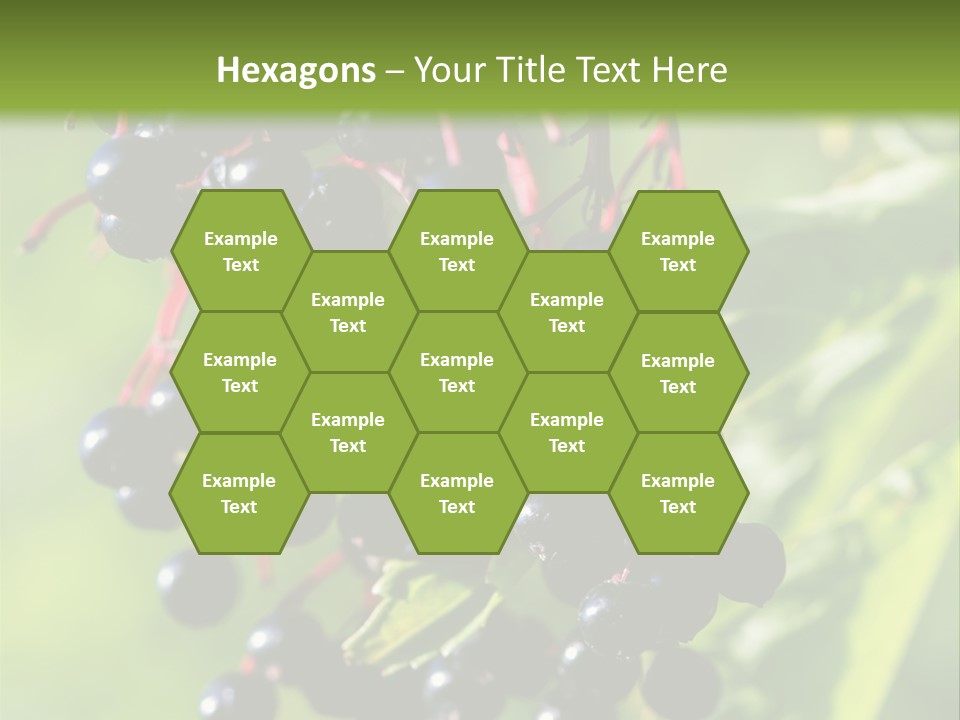 Berry Fruit Elderberry Black PowerPoint Template