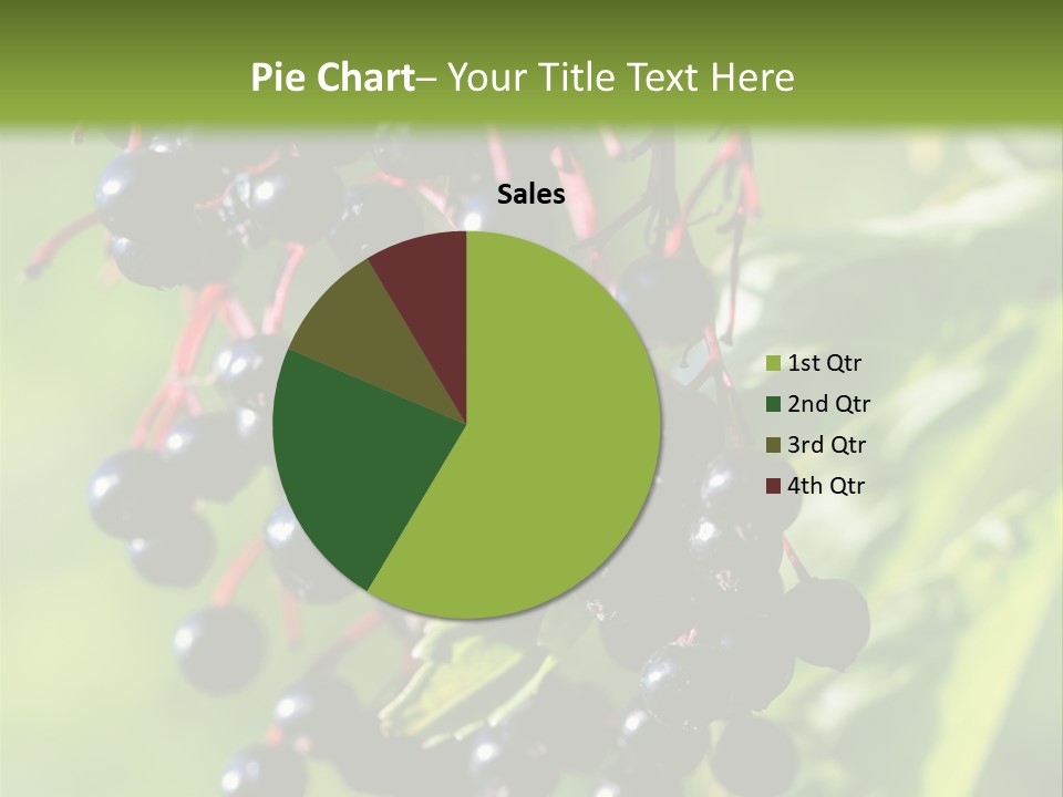 Berry Fruit Elderberry Black PowerPoint Template