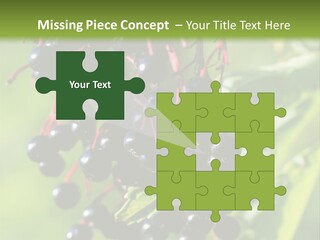 Berry Fruit Elderberry Black PowerPoint Template