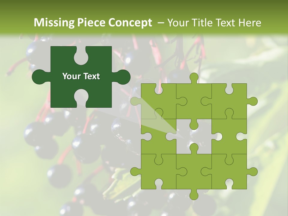 Berry Fruit Elderberry Black PowerPoint Template