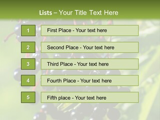 Berry Fruit Elderberry Black PowerPoint Template