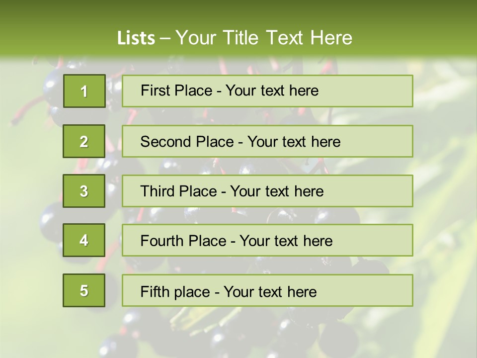 Berry Fruit Elderberry Black PowerPoint Template