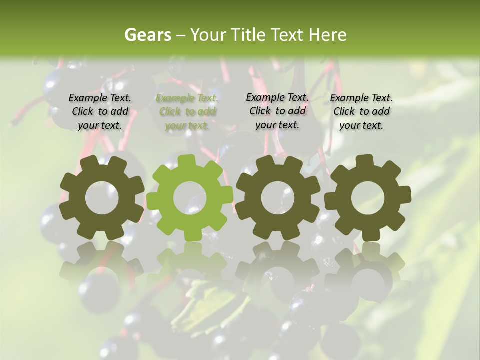 Berry Fruit Elderberry Black PowerPoint Template