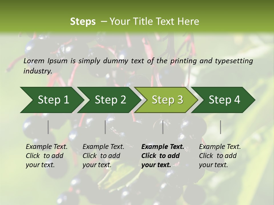 Berry Fruit Elderberry Black PowerPoint Template