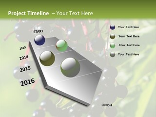 Berry Fruit Elderberry Black PowerPoint Template