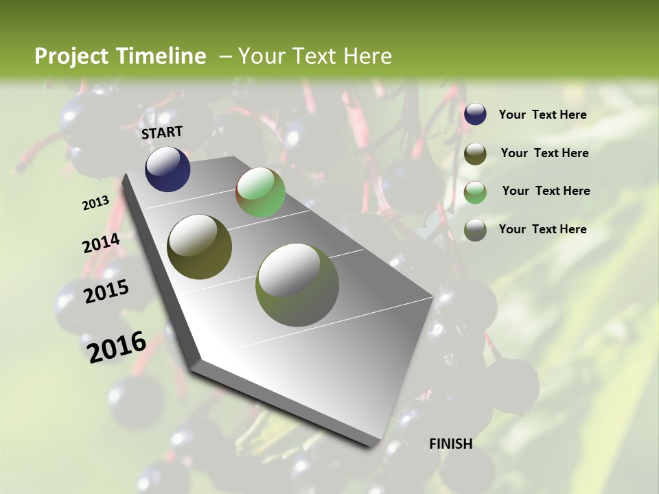 Berry Fruit Elderberry Black PowerPoint Template