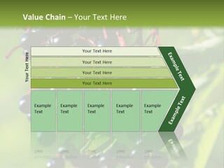 Berry Fruit Elderberry Black PowerPoint Template