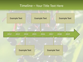 Berry Fruit Elderberry Black PowerPoint Template