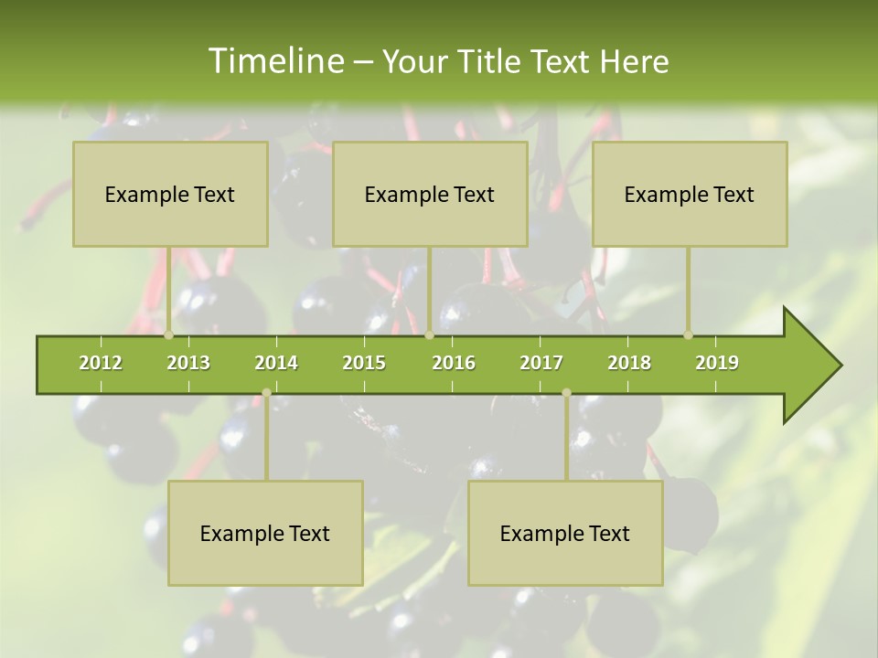 Berry Fruit Elderberry Black PowerPoint Template