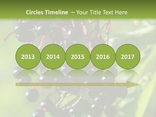 Berry Fruit Elderberry Black PowerPoint Template