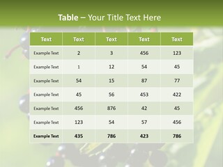 Berry Fruit Elderberry Black PowerPoint Template