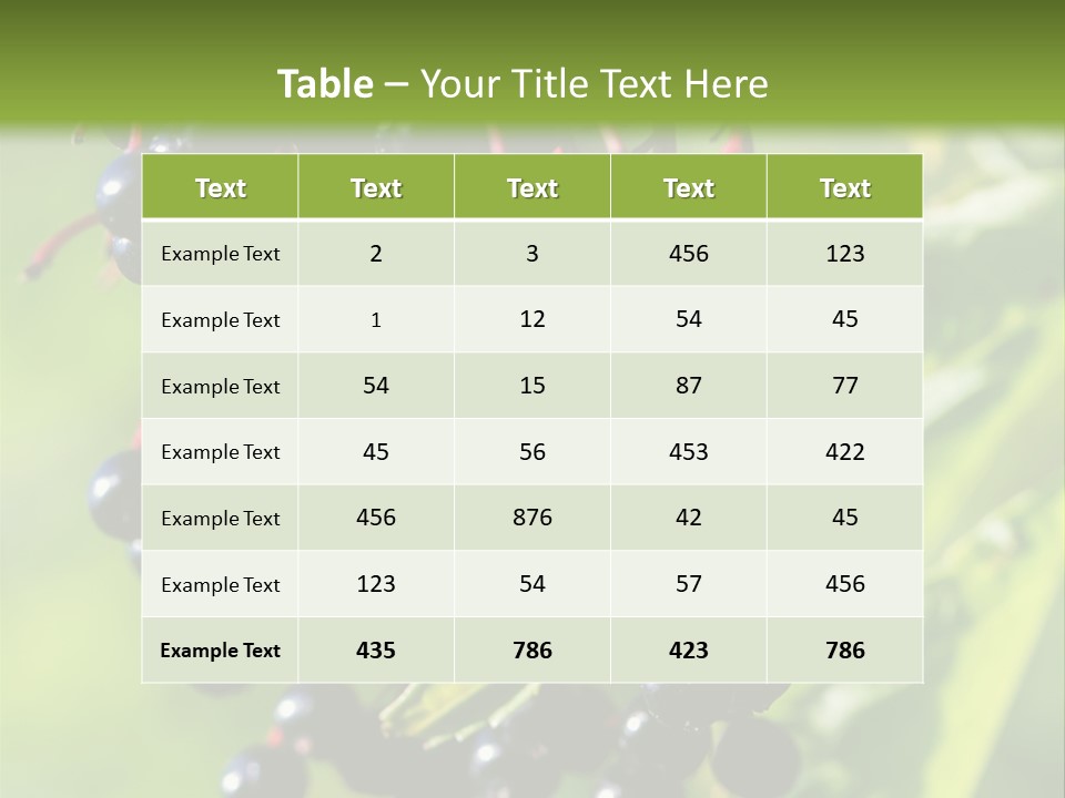 Berry Fruit Elderberry Black PowerPoint Template