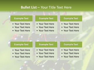 Berry Fruit Elderberry Black PowerPoint Template