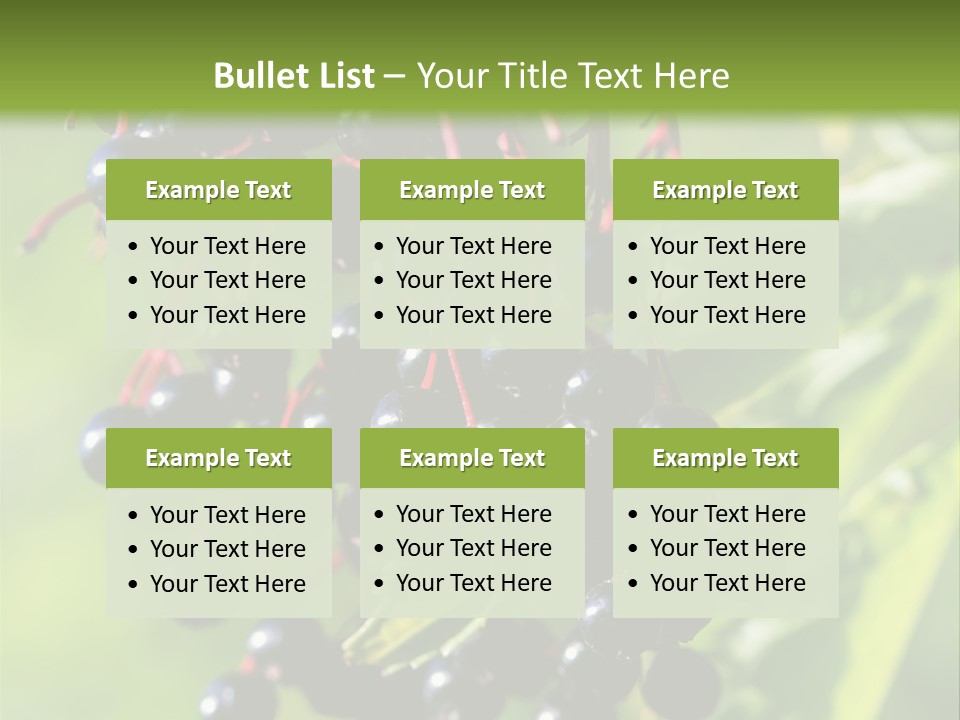 Berry Fruit Elderberry Black PowerPoint Template