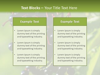 Berry Fruit Elderberry Black PowerPoint Template
