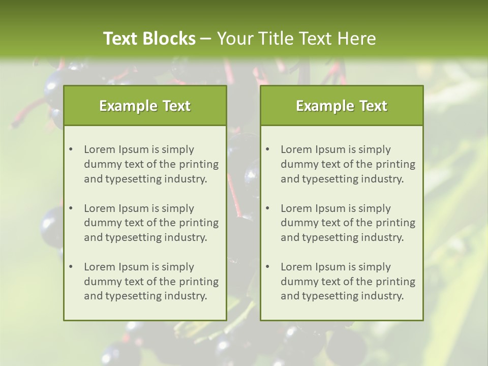 Berry Fruit Elderberry Black PowerPoint Template