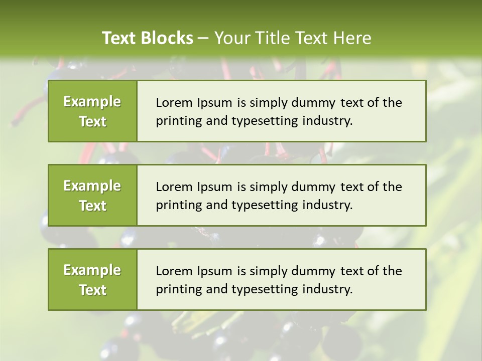 Berry Fruit Elderberry Black PowerPoint Template