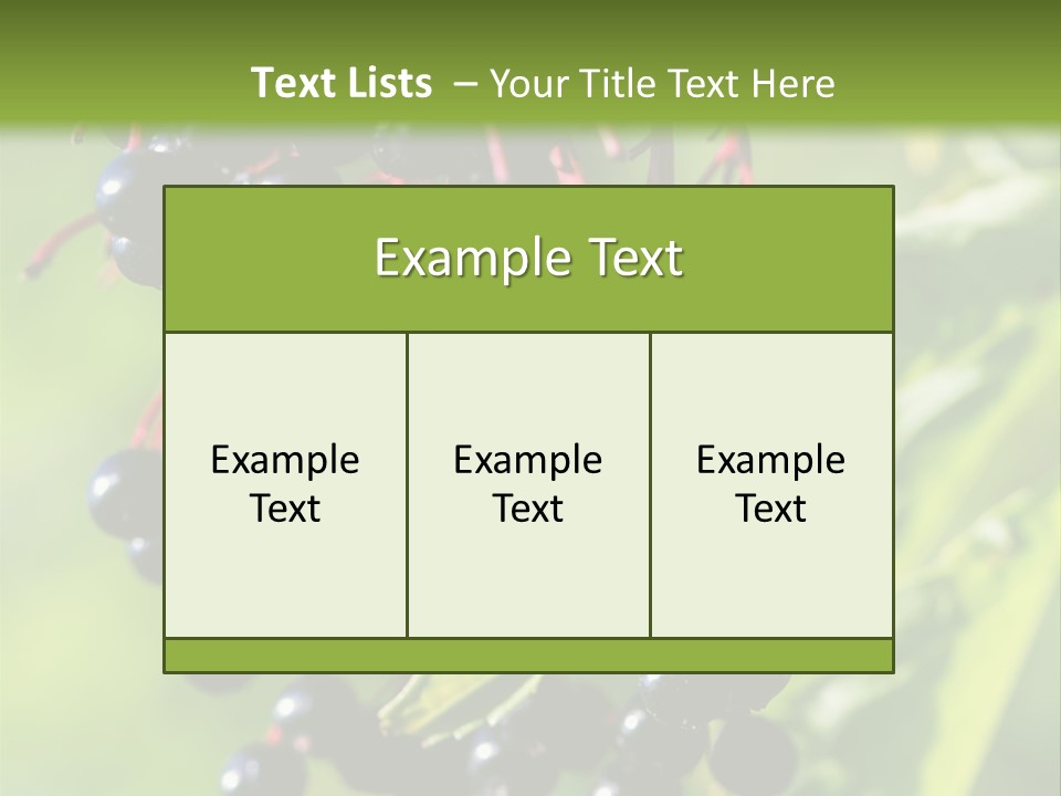 Berry Fruit Elderberry Black PowerPoint Template