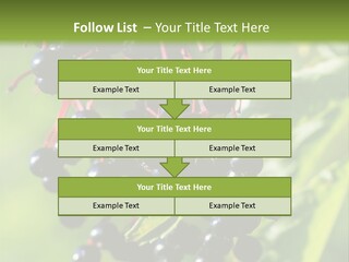 Berry Fruit Elderberry Black PowerPoint Template