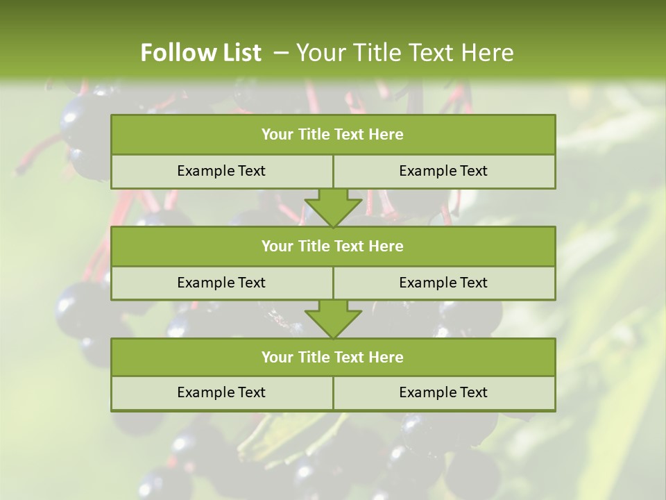 Berry Fruit Elderberry Black PowerPoint Template