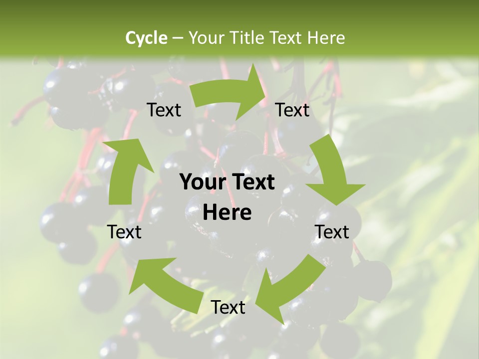 Berry Fruit Elderberry Black PowerPoint Template
