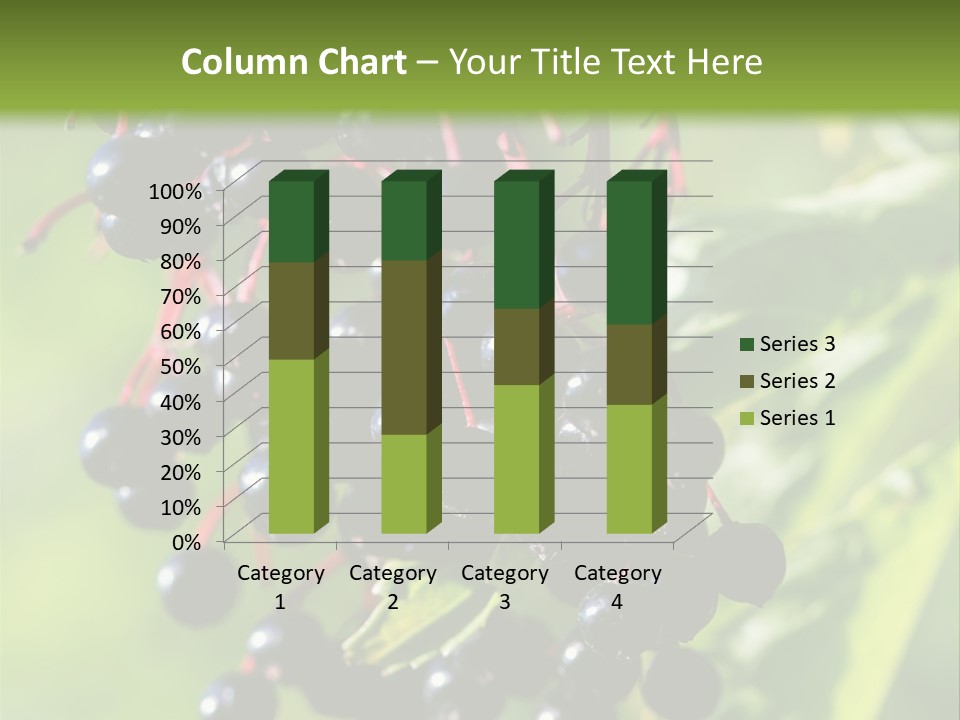 Berry Fruit Elderberry Black PowerPoint Template