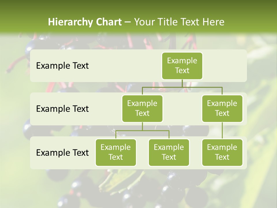 Berry Fruit Elderberry Black PowerPoint Template