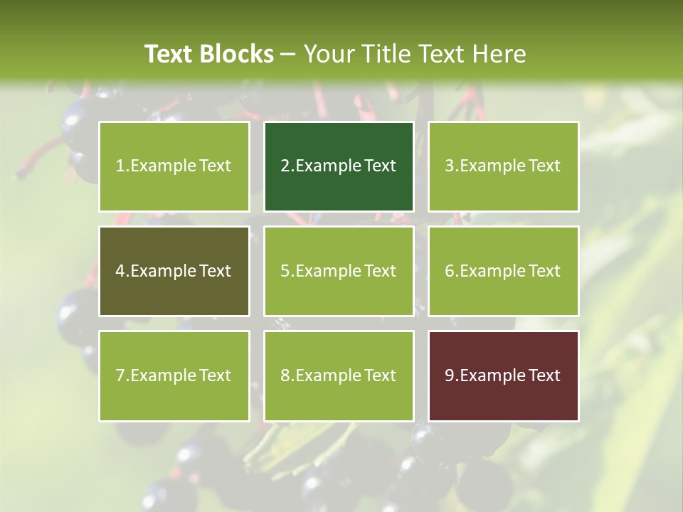 Berry Fruit Elderberry Black PowerPoint Template
