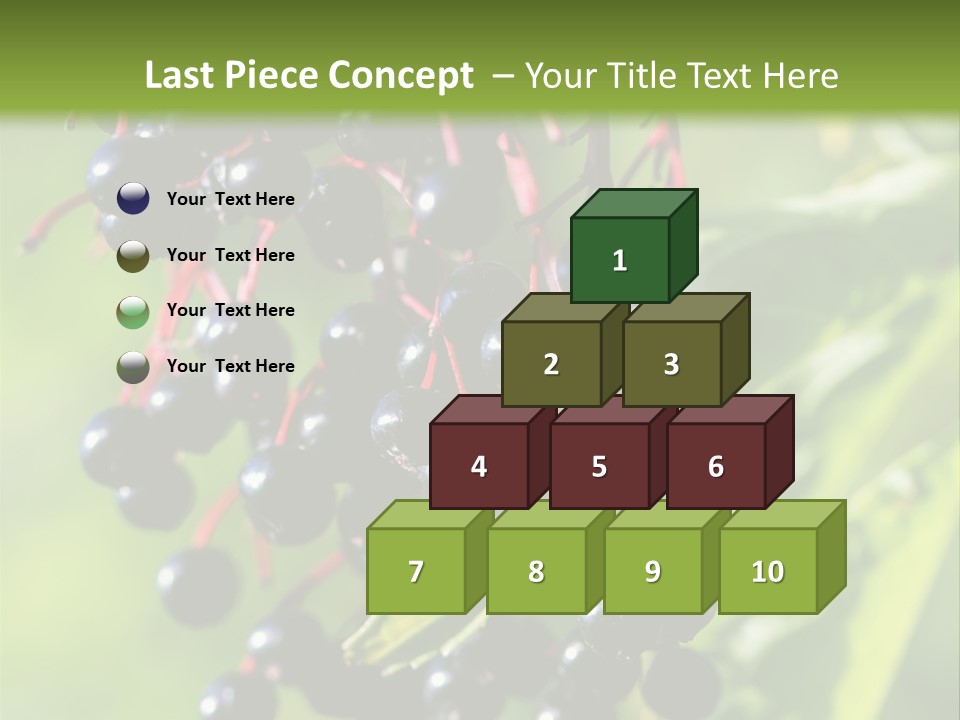 Berry Fruit Elderberry Black PowerPoint Template