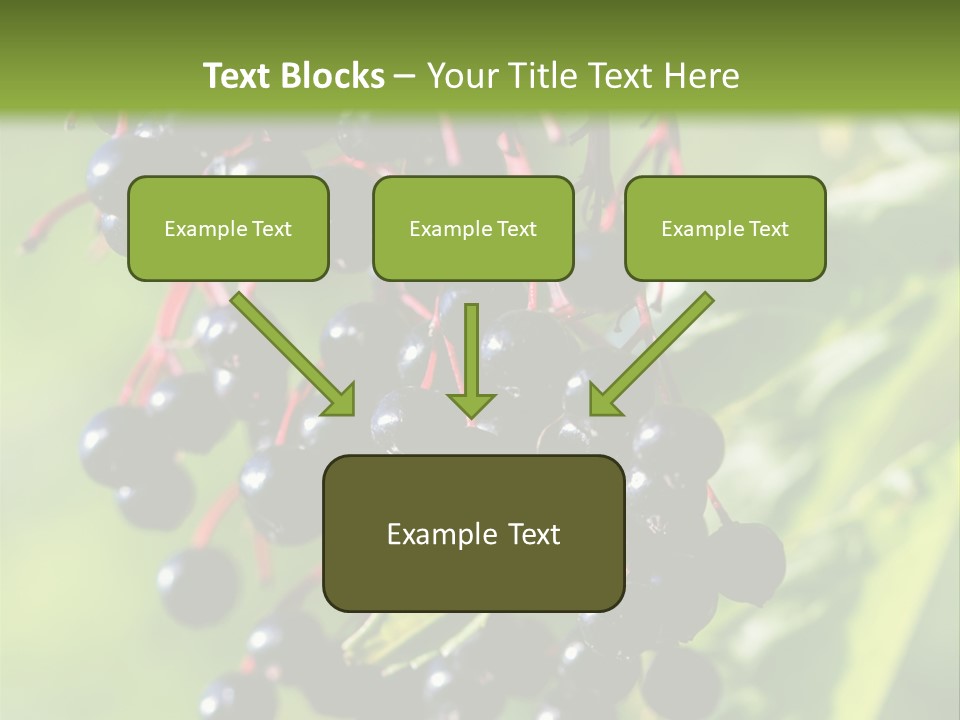 Berry Fruit Elderberry Black PowerPoint Template