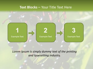 Berry Fruit Elderberry Black PowerPoint Template