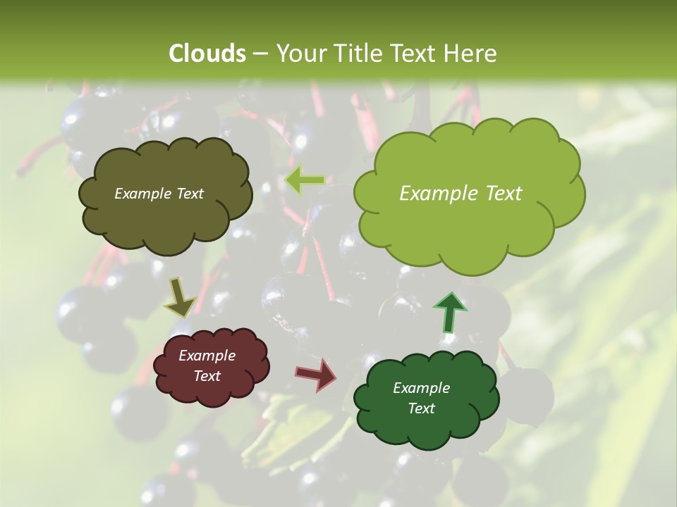 Berry Fruit Elderberry Black PowerPoint Template