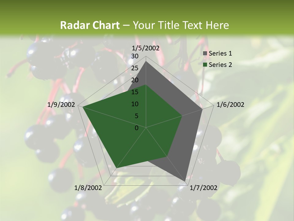 Berry Fruit Elderberry Black PowerPoint Template