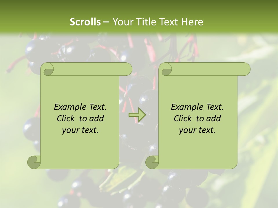 Berry Fruit Elderberry Black PowerPoint Template