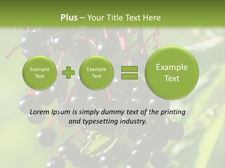 Berry Fruit Elderberry Black PowerPoint Template