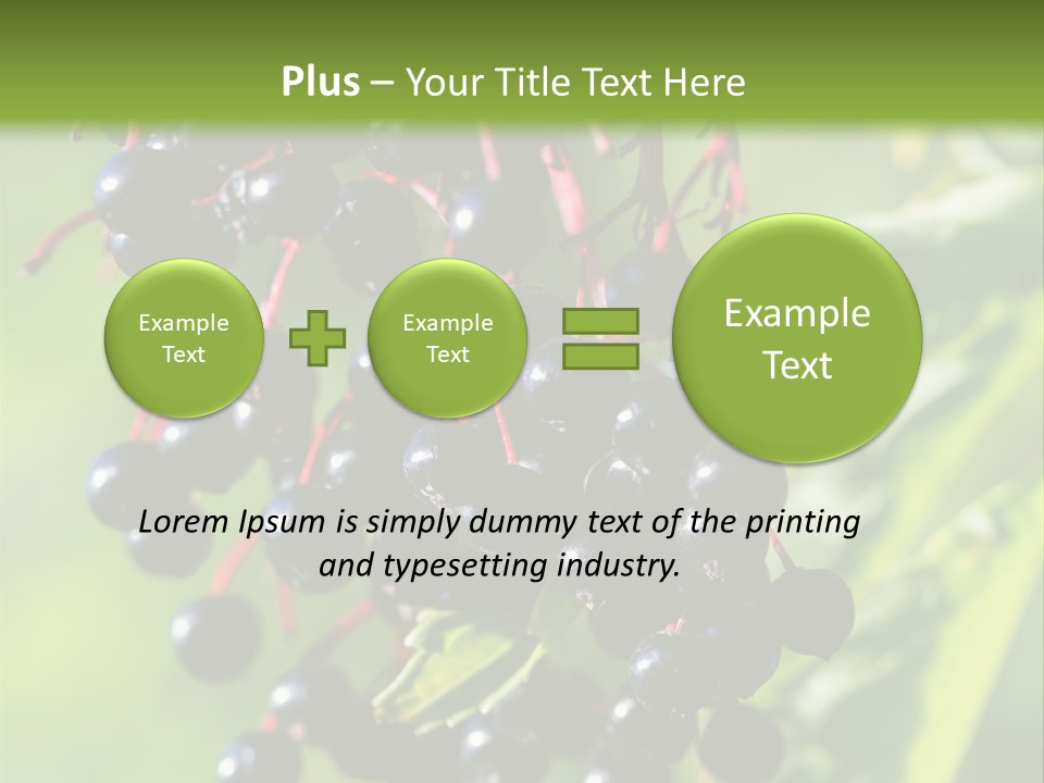 Berry Fruit Elderberry Black PowerPoint Template