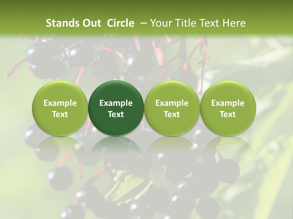 Berry Fruit Elderberry Black PowerPoint Template