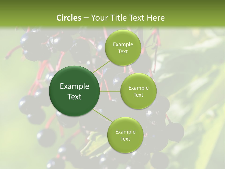 Berry Fruit Elderberry Black PowerPoint Template