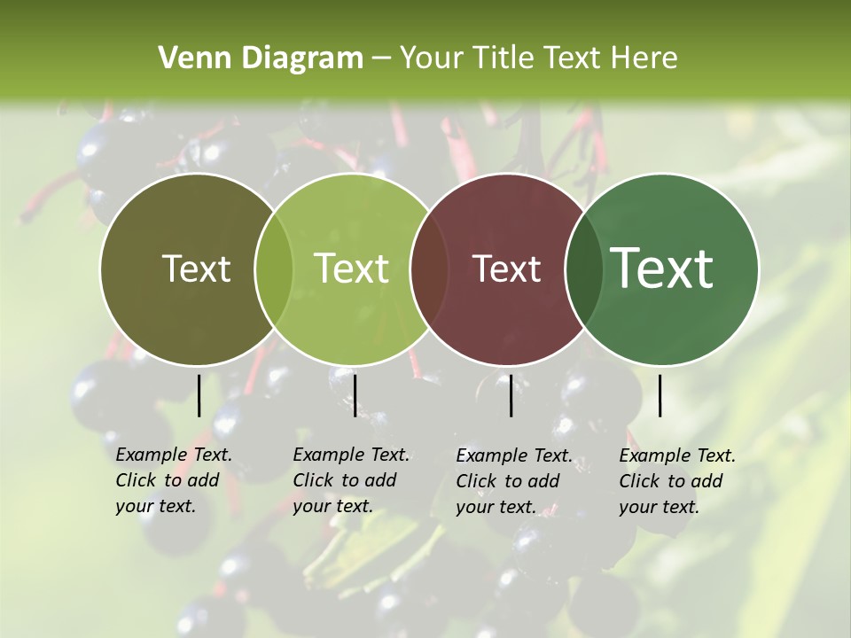 Berry Fruit Elderberry Black PowerPoint Template
