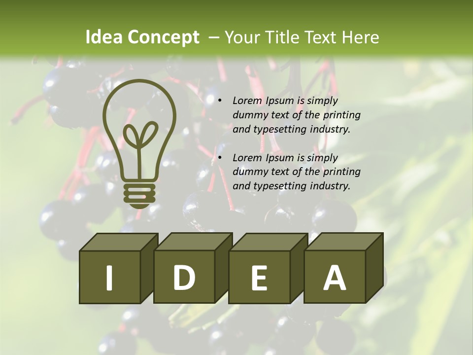 Berry Fruit Elderberry Black PowerPoint Template