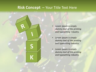 Berry Fruit Elderberry Black PowerPoint Template